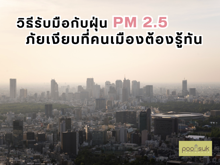 วิธีรับมือกับฝุ่น PM 2.5 ภัยเงียบที่คนเมืองต้องรู้ทัน