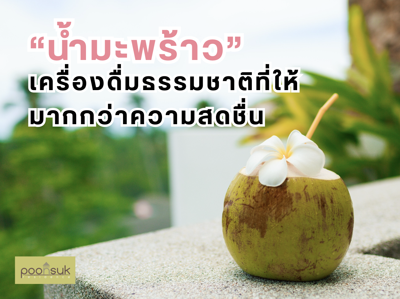 น้ำมะพร้าวเครื่องดื่มธรรมชาติที่ให้มากกว่าความสดชื่น