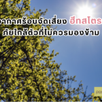 อากาศร้อนจัด เสี่ยงฮีทสโตรก ภัยใกล้ตัวที่ไม่ควรมองข้าม