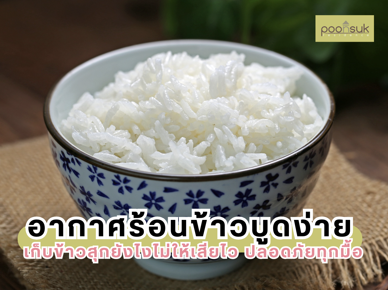 พูนสุข เรสซิเดนซ์, Poonsuk Residence, อพาร์ทเมนต์ย่านอารีย์ อากาศร้อนข้าวบูดง่าย เก็บข้าวสุกยังไงไม่ให้เสียไว ปลอดภัยทุกมื้อ