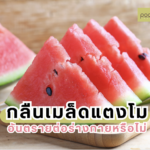 กลืนเมล็ดแตงโม อันตรายต่อร่างกายหรือไม่