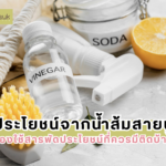 ประโยชน์จากน้ำส้มสายชู ของใช้สารพัดประโยชน์ที่ควรมีติดบ้าน