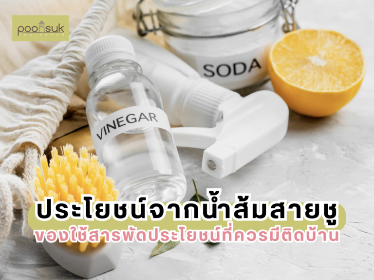 ประโยชน์จากน้ำส้มสายชู ของใช้สารพัดประโยชน์ที่ควรมีติดบ้าน
