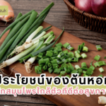 ประโยชน์ของต้นหอม ผักสมุนไพรใกล้ตัวที่ดีต่อสุขภาพ