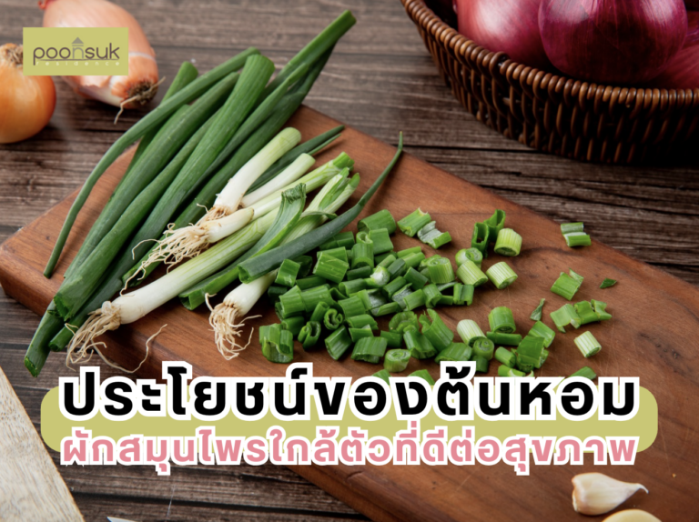 ประโยชน์ของต้นหอม ผักสมุนไพรใกล้ตัวที่ดีต่อสุขภาพ